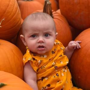 Meet your Posher, Morgan